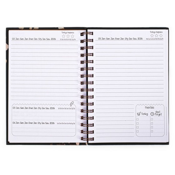 Ημερολόγιο Posh+Pop 2026 12Μ Σπιράλ Dreams image 5