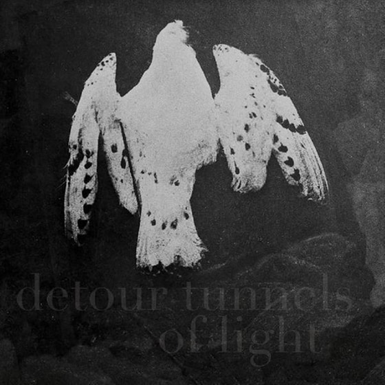 Detour Tunnels Of Light image 0