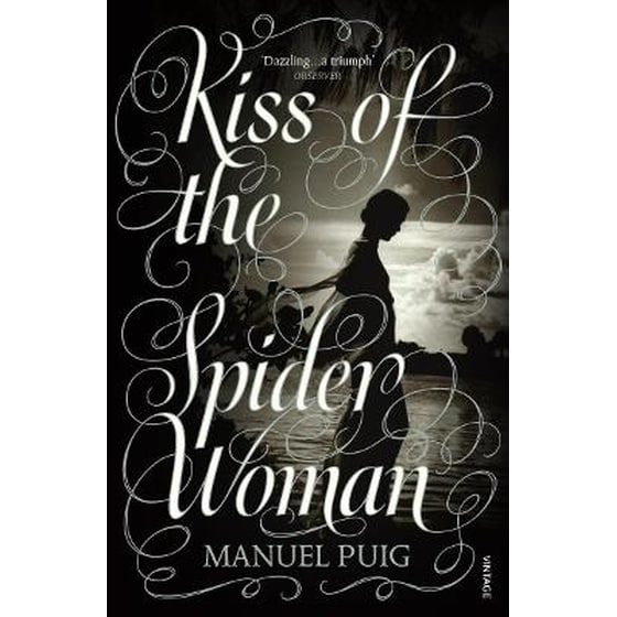 Kiss of the Spider Woman image 0