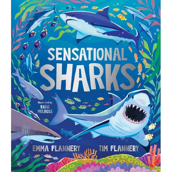 Sensational Sharks image 0