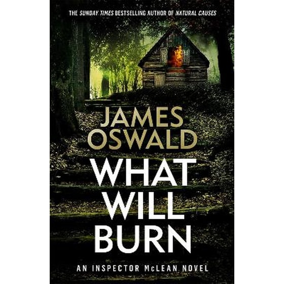 What Will Burn image 0