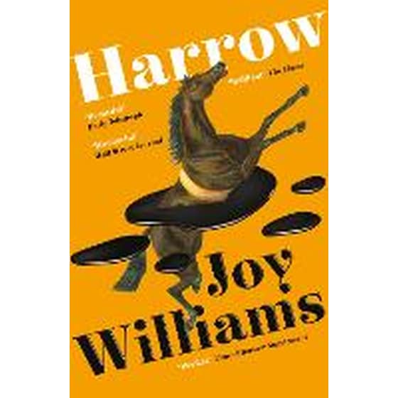 Harrow image 0