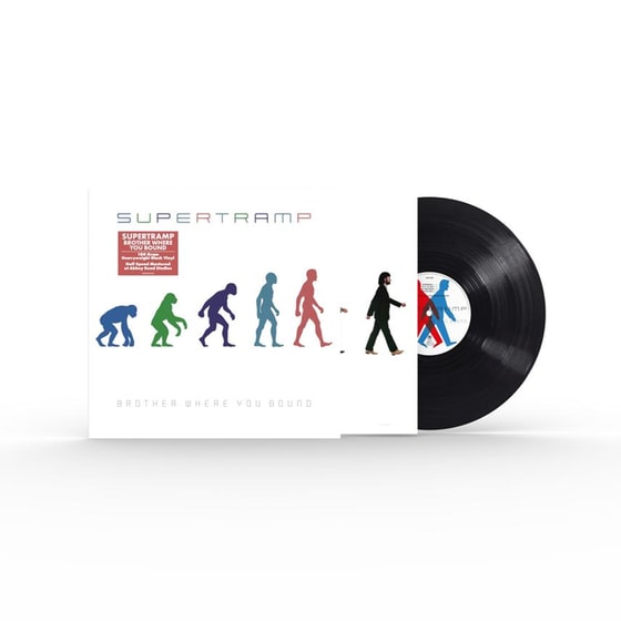 Brother Where You Bound (LP) image 3