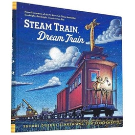 Steam Train, Dream Train