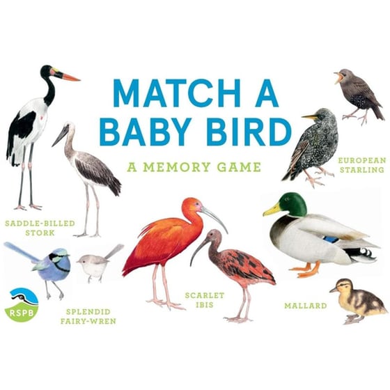 Match a Baby Bird image 0