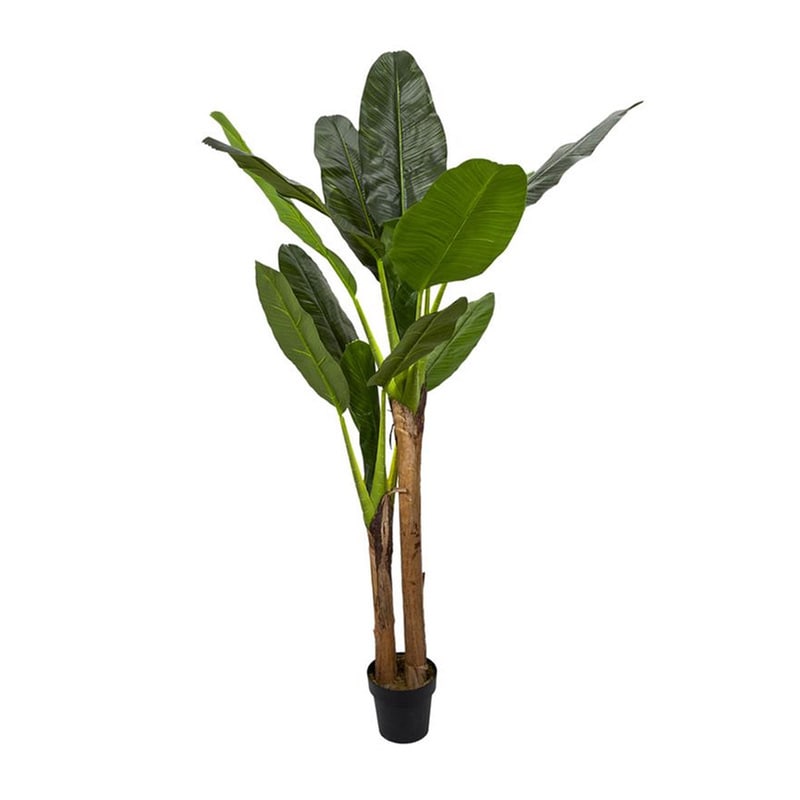 HOME DECO FACTORY Τεχνητό Φυτό Μπανάνα Home Deco Factory Hd4189 160 cm - Πράσινο