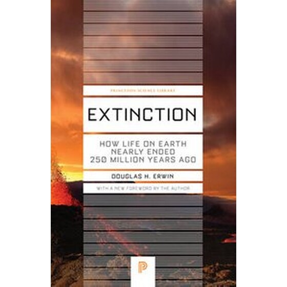 Extinction image 0