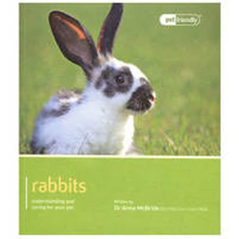 Rabbit - Pet Friendly