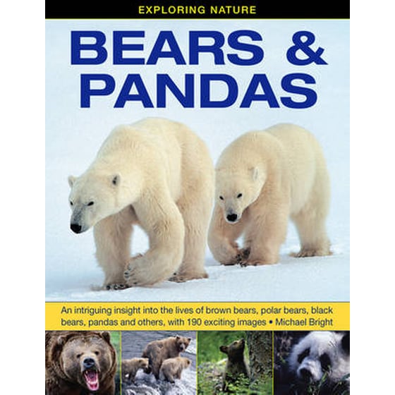 Exploring Nature- Bears & Pandas image 0
