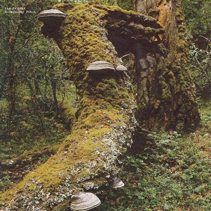 Kosmischer Pitch (Reissue)