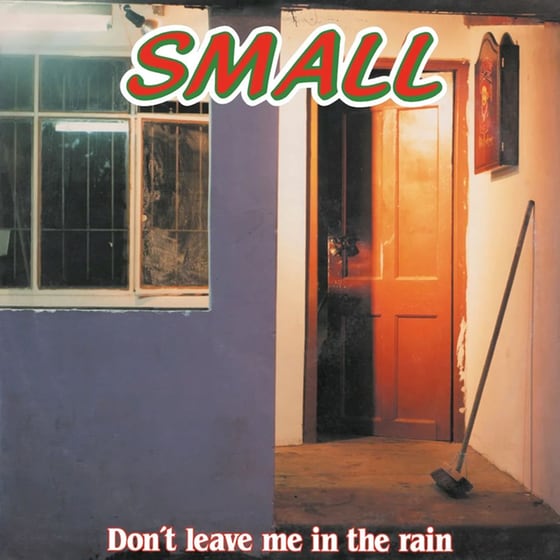 Don't Leave Me In The Rain (LP) image 0