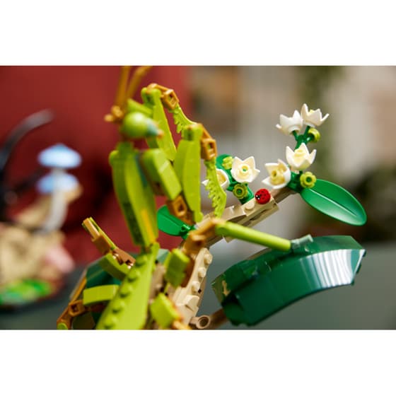 LEGO®Ideas The Insect Collection (21342) image 3