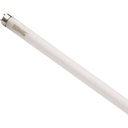 Λαμπτήρας Φθορίου Eurolamp Τ8 58w 150cm 6500K - Ψυχρό Λευκό