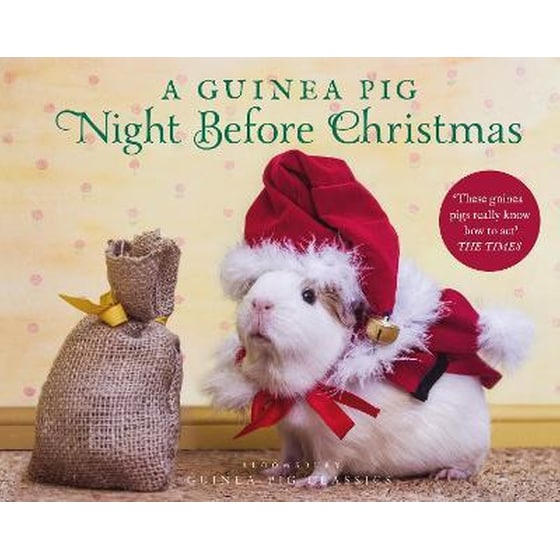 A Guinea Pig Night Before Christmas image 0