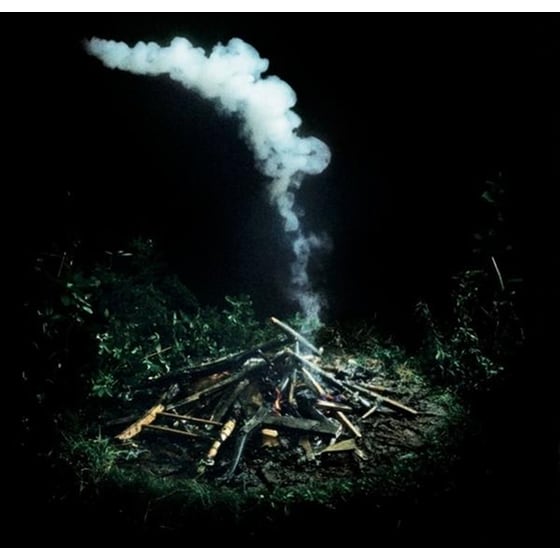 Last Days (Triple Gatefold 2LP) image 1