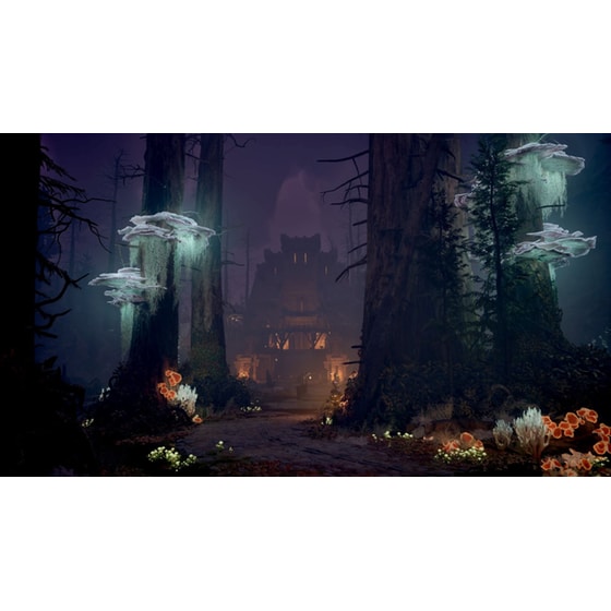 Avowed  Premium Steelbook Edition - Xbox Series X (Code in a Box) image 9