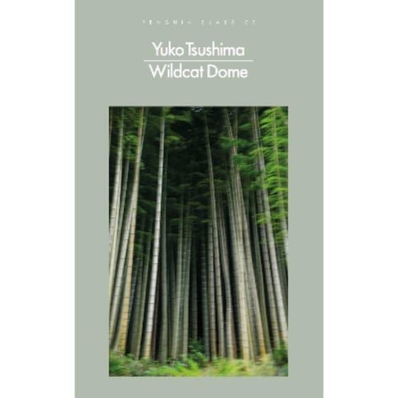 Wildcat Dome image 0