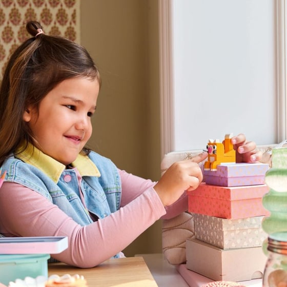 LEGO® Classic Creative Happy Box (11042) image 7