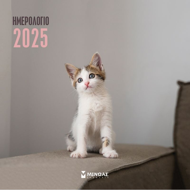 Ημερολόγιο Μηνιαίο Τοίχου 2025 Μίνωας 12M Γατάκια