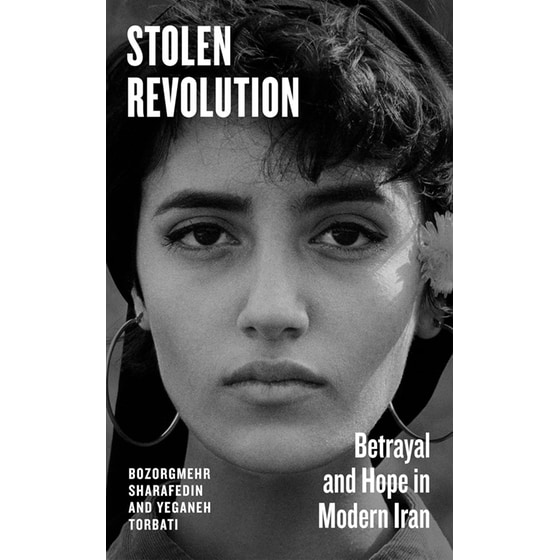 Stolen Revolution image 0