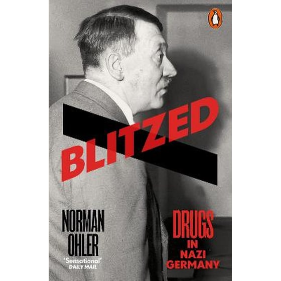 Blitzed image 0