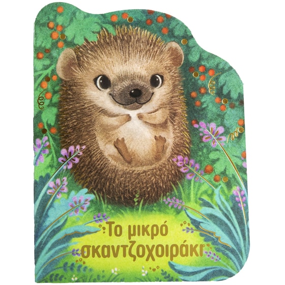 Το μικρό σκαντζοχοιράκι image 0