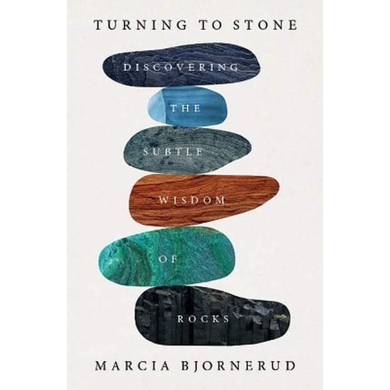Turning to Stone image 0