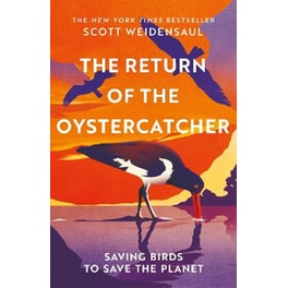 The Return of the Oystercatcher