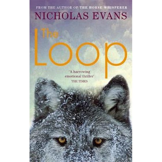 The Loop image 0