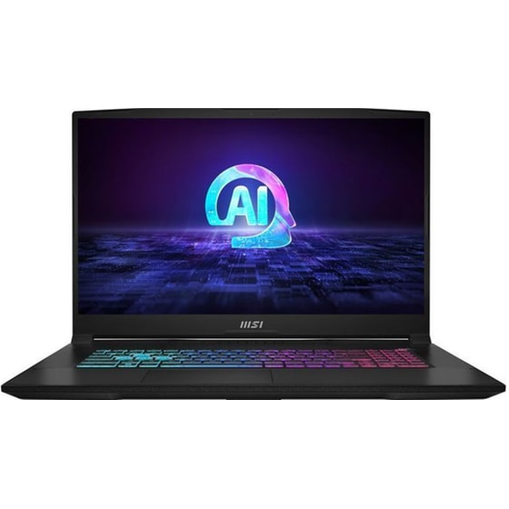 MSI Katana A17 AI B8VF-893 17.3'' FHD IPS (Ryzen 9-8945HS/16GB/1TB SSD/GeForce RTX 4060/Win11Home) Laptop image 0