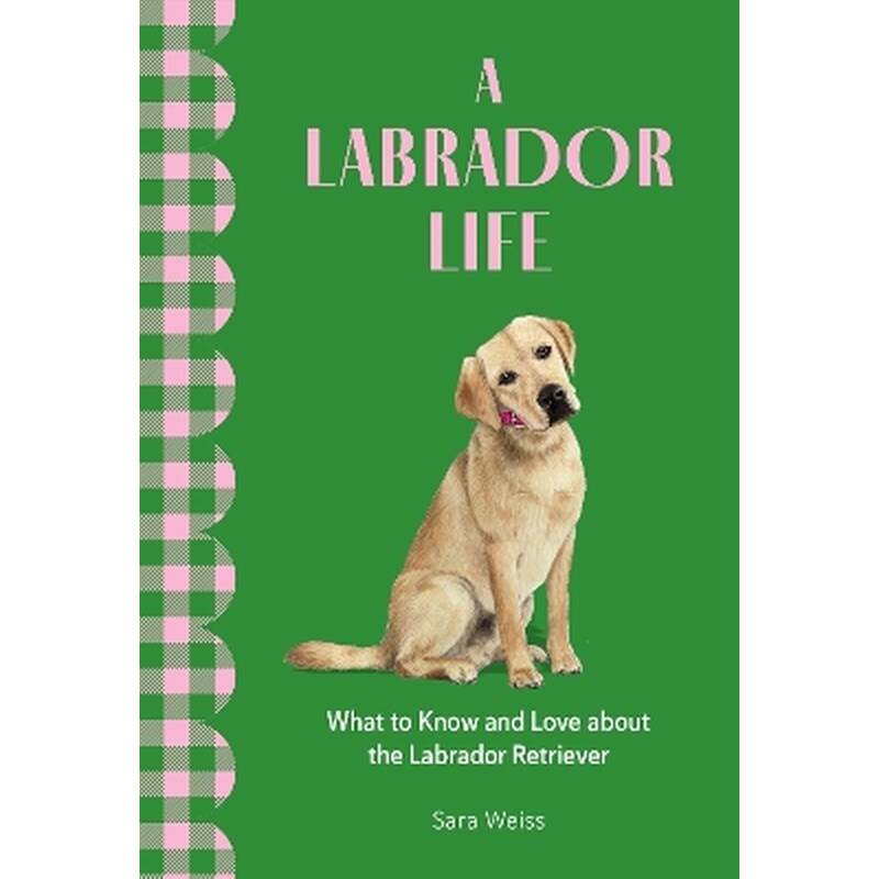 A Labrador Life
