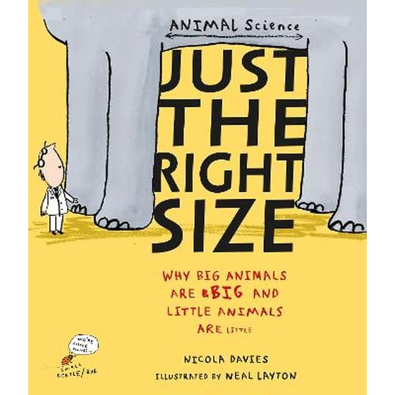 Just the Right Size image 0