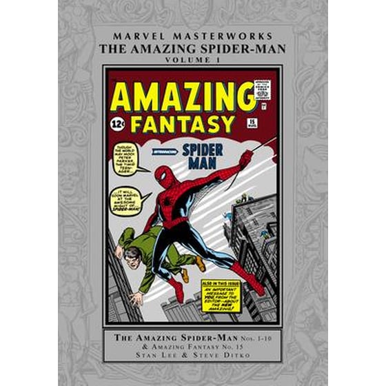 Marvel Masterworks: The Amazing Spider-man Vol. 1 image 0