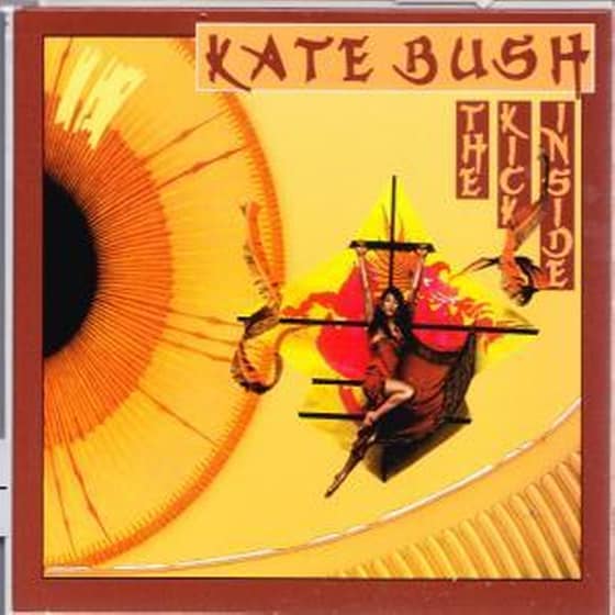 The Kick Inside (2018 Remaster) image 2