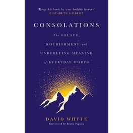 Consolations : The Solace, Nourishment and Underlying Meaning of Everyday Words