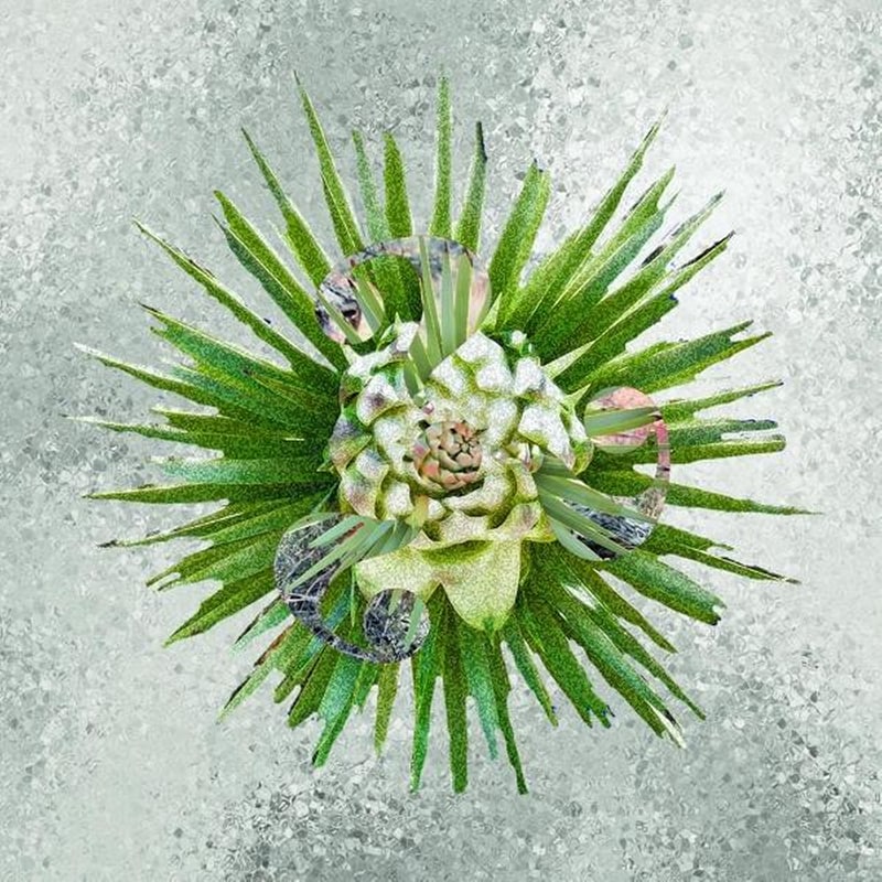 How??? (Clear Vinyl)