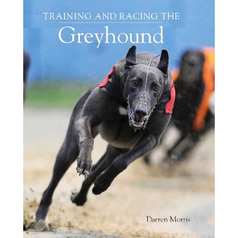 Training and Racing the Greyhound