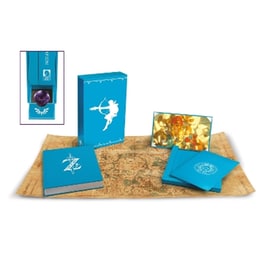 The Legend Of Zelda: Breath Of The Wild - Creating A Champion Hero's Edition