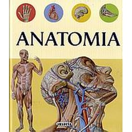 Ανατομία
