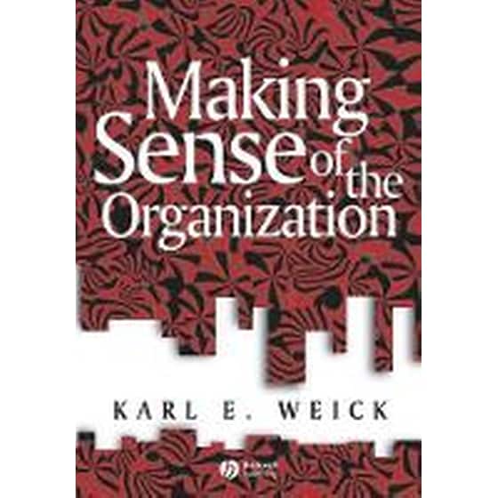 Making Sense of the Organization image 0