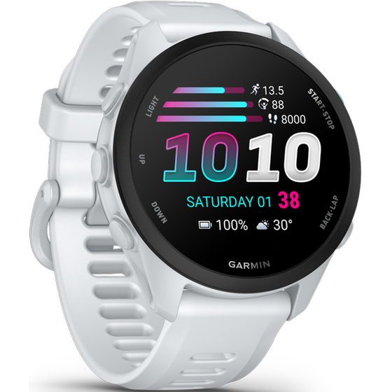 Smartwatch Garmin Forerunner 70 43mm - Whitestone image 2