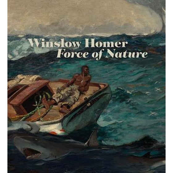 Winslow Homer image 0