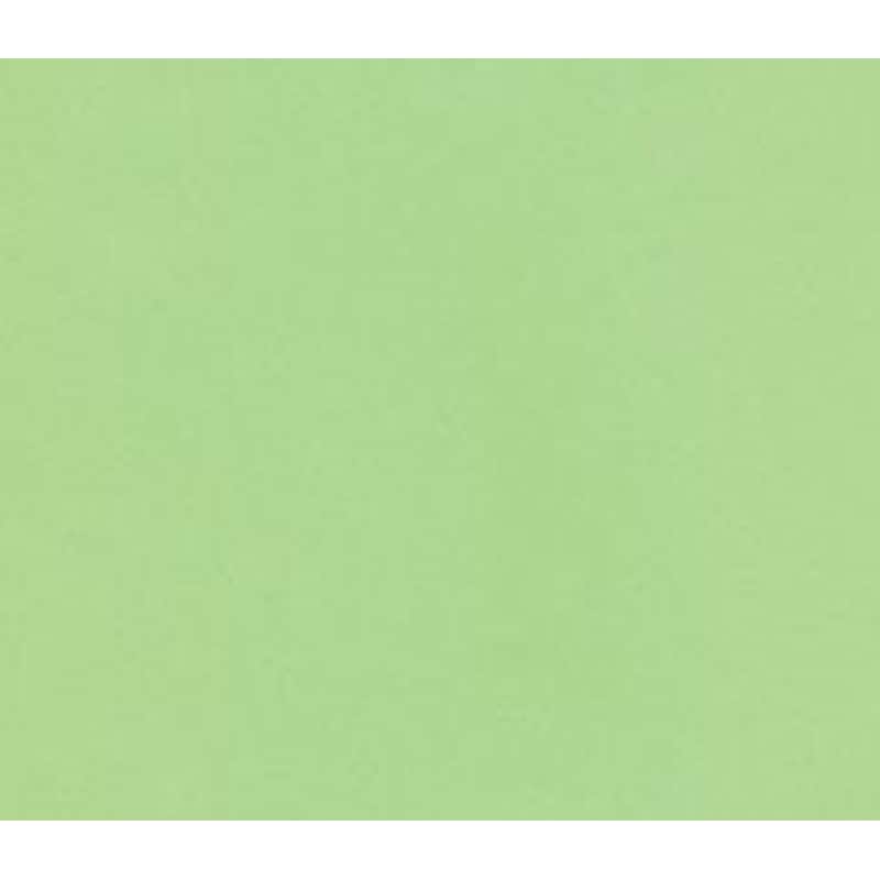 Next Φωτοαντιγραφικό Χαρτί Πράσινο Α4 80gr 500 φύλλα