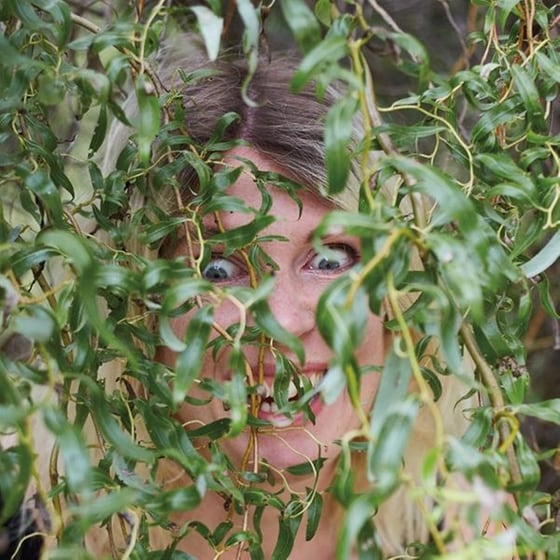 Bite Down image 0