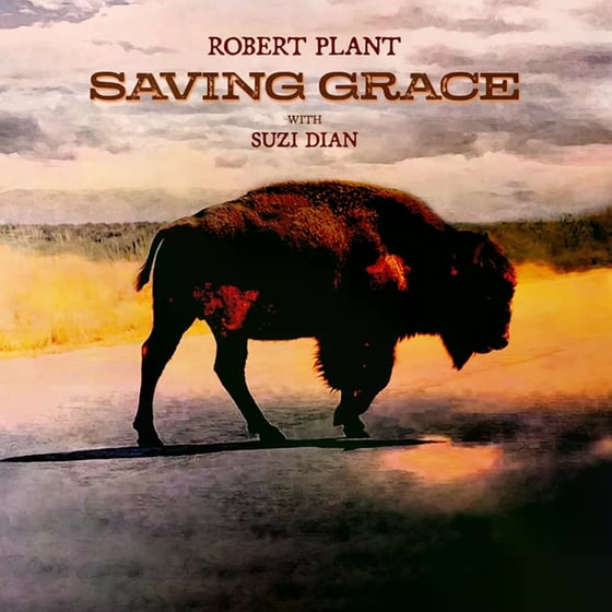 Saving Grace (LP Coloured) image 0