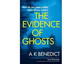 Evidence of Ghosts image 0