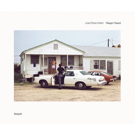 Joel Sternfeld: Nags Head image 0