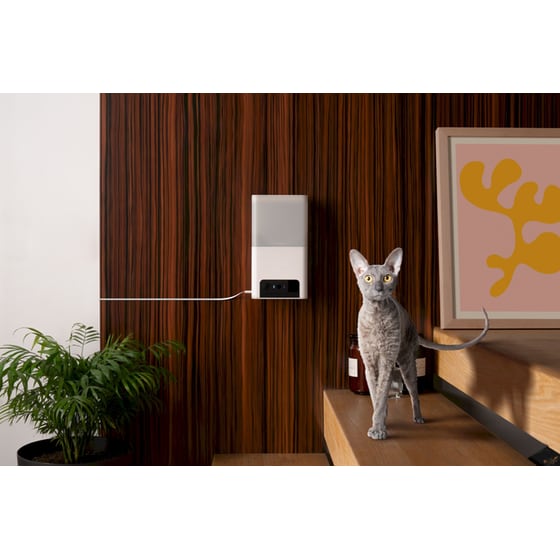 Petcube WRL Ταΐστα με Κάμερα για Κατοικίδια Bites 2 Lite image 5