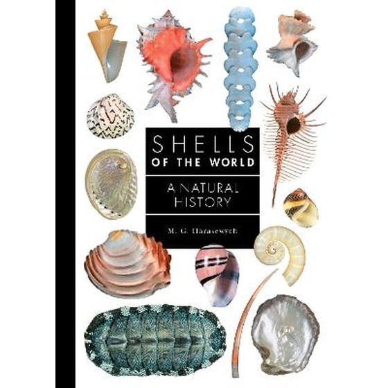 Shells of the World image 0