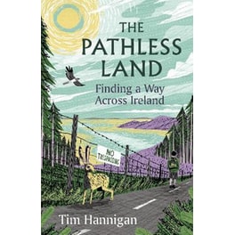 The Pathless Land